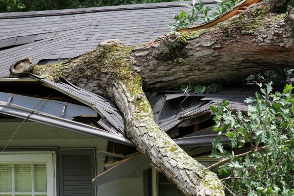 Cost of Storm Remediation in Hampstead