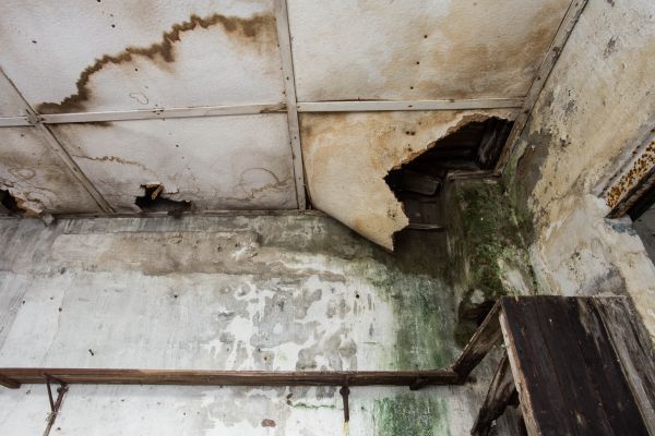 Water Damage Service in Hampstead