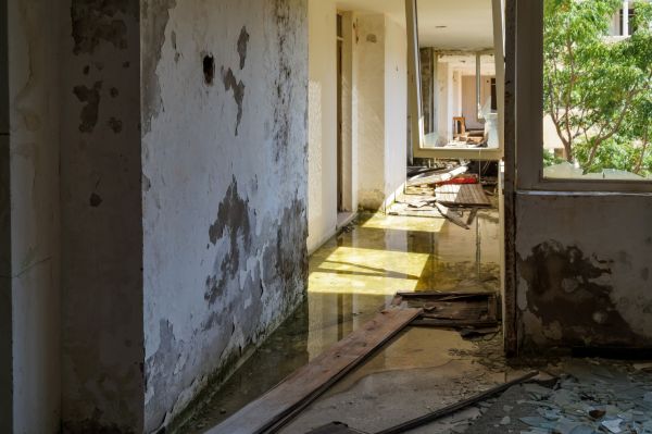 Water Removal Service in Hampstead